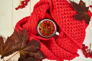 Kupa veya sıcak kartopu çay kırmızı sıcak örme eşarp ile sonbahar maple kırmızı yaprakları ve kartopu beyaz arka plan üzerinde meyveleri. Üstten görünüm. düz yatıyordu. kopya alanı. Kış. Noel. Soğuk sezon.