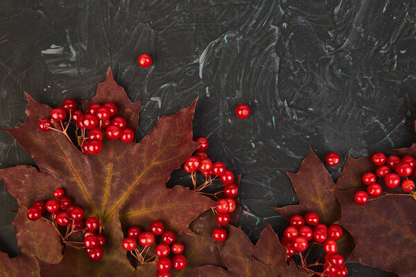 Autumn background with autumn maple red leaves and viburnum berries on black background. Top view. flat lay. copy space. Thanksgiving day