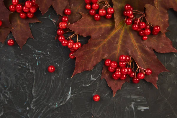 Sonbahar sonbahar kırmızı akçaağaç yaprakları ve siyah arka plan üzerine kartopu meyveleri ile arka plan. Üstten görünüm. düz yatıyordu. kopya alanı. Şükran günü