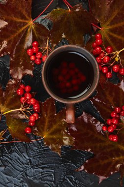 Kupa veya sıcak kartopu çay siyah arka plan üzerine, sonbahar maple kırmızı yaprakları ve beyaz zemin üzerine kartopu çilek. Üstten görünüm. düz yatıyordu. kopya alanı. Kış. Noel. Soğuk sezon.