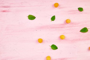 Düz yatıyordu desen sarı ahududu ve nane yaprakları üzerinde pembe bir arka plan ile. Sağlıklı diyet gıda kavramı. 