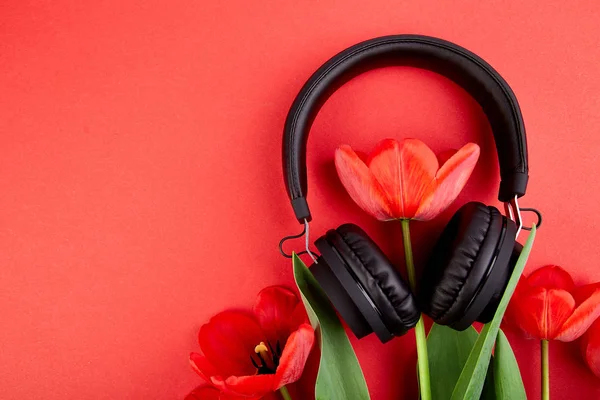 Auriculares Negros Tulipanes Ramo Rojo Sobre Fondo Rojo Acostado Vista — Foto de Stock