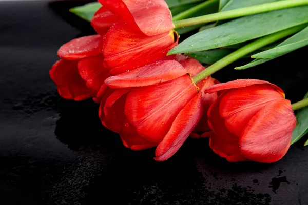 Tulipanes Rojos Sobre Fondo Negro Espacio Vacío Para Letras Texto —  Fotos de Stock