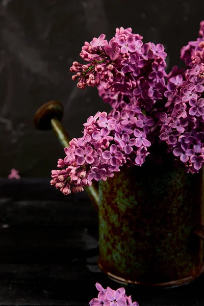 Krásná Fialová Kytice Plechová Konev Nebo Zalévání Květináč Černém Pozadí — Stock fotografie