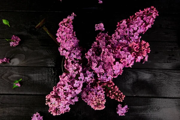 Hermoso Ramo Flores Color Lila Una Regadera Metal Una Olla — Foto de Stock