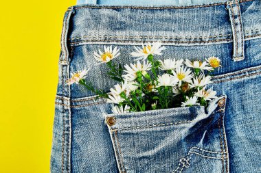 Sarı arka plan üzerinde kot pantolon cebinde beyaz çiçek buketi. Minimalis. Kot kavramı. Düz yatıyordu. Uzay kopyalayın. Bahar şenlikli tema için yaratıcı düzen