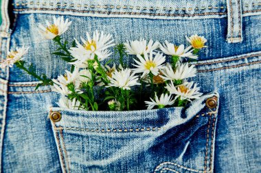 Yeşil zemin üzerine bir kot pantolon cebinde beyaz çiçek buketi. Minimalis. Kot kavramı. Düz yatıyordu. Uzay kopyalayın. Bahar şenlikli tema için yaratıcı düzen