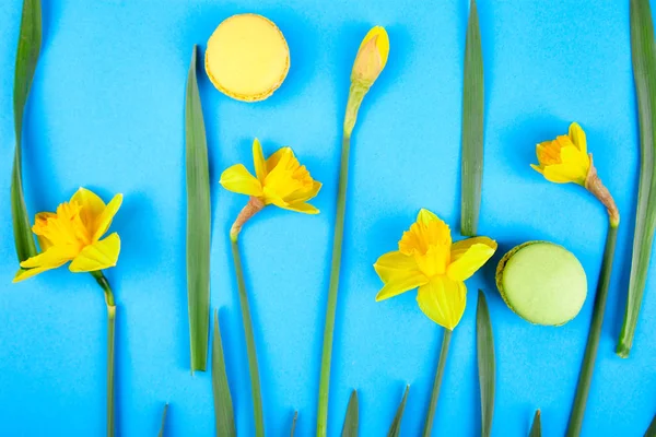 Delicatezza Francese Amaretti Colorati Con Fiori Primaverili Mazzo Fiori Narcisi — Foto Stock