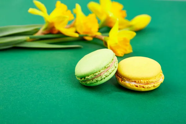 French Delicacy Macaroons Colorful Spring Blossom Bouquet Flowers Narcissus Sweets — Stock Photo, Image