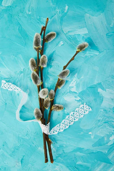 Pussy Willow Branches Blue Background Spring Coming Happy Easter Greeting — Stock Photo, Image