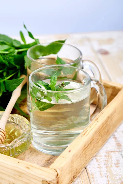 Minuman Teh Mint Herbal Panas Dalam Cangkir Kaca Atau Cangkir — Stok Foto