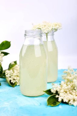 Kombucha çayı elderflower çiçek mavi arka plan ile. Ev yapımı infüzyon içecek fermente. Yaz sağlıklı doğal probiyotik içki aromalı. Kopya girintili