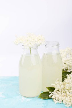 Kombucha çayı elderflower çiçek mavi arka plan ile. Ev yapımı infüzyon içecek fermente. Yaz sağlıklı doğal probiyotik içki aromalı. Kopya girintili