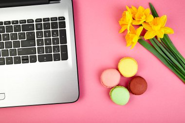 Kadın ya da dizüstü bilgisayar, dizüstü bilgisayar, macarons ve çiçekler nergis pembe tablo kadınsı çalışma alanı. Düz yatıyordu. Blogger Üstten Görünüm