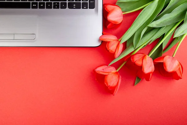 Woman or feminine workspace with laptop, notebook and bouquet flowers tulips on red table. Flat lay. Blogger top view