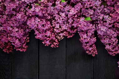 Siyah ahşap zemin üzerine güzel Lila çiçek buketi. 