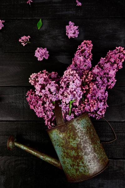 Krásná lila květ kytice v plechová konev, pot — Stock fotografie