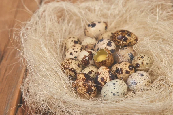 Quail  easter eggs in the nest on wooden background. — Stock Photo, Image