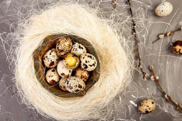 Przepiórcze jaja wielkanocne w gnieździe na szarym tle z gałęzi wierzby. — Zdjęcie stockowe