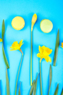 Fransız incelik, macaroons bahar çiçeği ile renkli.
