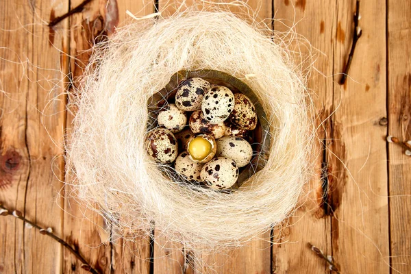 Quail Eggs Nest Wooden Background Willow Branch Happy Easter Top — Stock Photo, Image