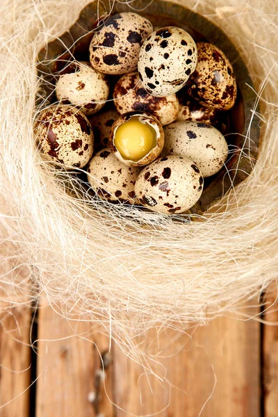 Quail eggs in the nest on wooden background with willow branch. Happy easter. Top view. Free space. Flat lay. Spring. Easter egg.
