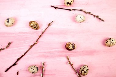 Bıldırcın yumurtası söğüt dalı ile pembe arka plan üzerinde.