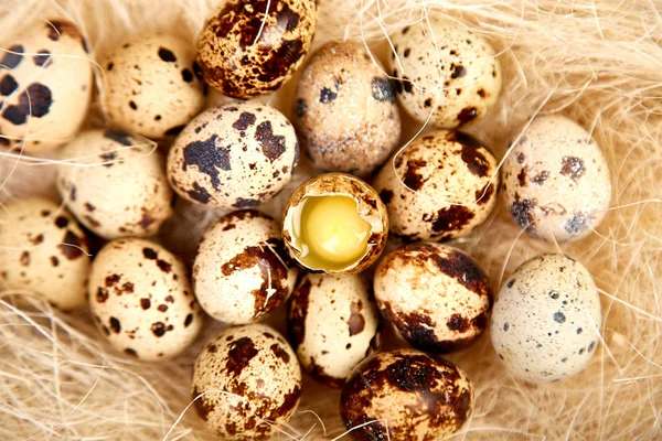 Bıldırcın yumurta yuvada ahşap arka plan üzerinde. 