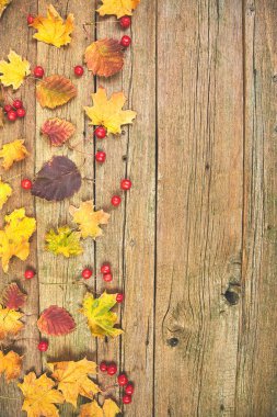 Sonbahar kompozisyon. Ahşap arka planda kurutulmuş yaprakları ve çilek yapılmış çerçeve. Autumn, sonbahar konsepti. Düz yatıyordu, üst görünüm, kopya spac