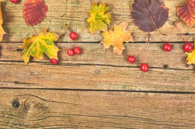 Sonbahar kompozisyon. Ahşap arka planda kurutulmuş yaprakları ve çilek yapılmış çerçeve. Autumn, sonbahar konsepti. Düz yatıyordu, üst görünüm, kopya spac