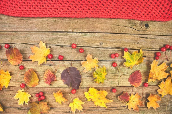 Kompozycja Jesienna Rama Wykonana Suszonych Liści Ciepłego Szalika Drewnianym Tle — Zdjęcie stockowe