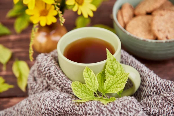Bufanda de punto con taza de té caliente — Foto de Stock
