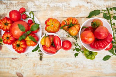 Domates arka plan karışımı. Güzel sulu organik kırmızı domates