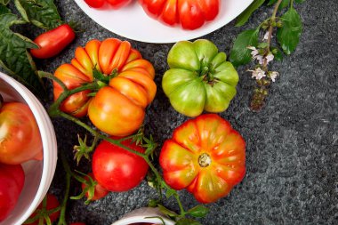 Domates arka plan karışımı. Siyah masa arka plan üzerinde güzel sulu organik kırmızı domates. Temiz yeme konsepti. Kopyalama alanı, düz yatıyordu