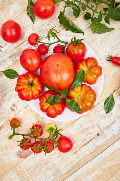 Domates arka plan karışımı. Beyaz ahşap masa arka planda güzel sulu organik kırmızı domates. Temiz yemek konsepti. Kopya alanı, düz yatıyordu