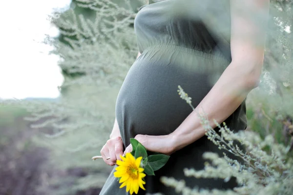 Wanita Hamil Memegang Perutnya Dan Bunga Luar Ruangan Kehamilan Keibuan — Stok Foto