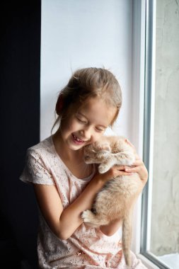 Küçük kız, pencerenin önünde İngiliz bir kedi yavrusuyla oynuyor.
