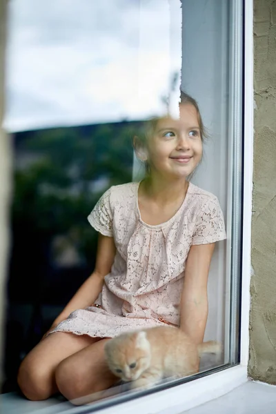 Copilul se joacă cu un pisoi britanic jucăuș la fereastră acasă — Fotografie, imagine de stoc