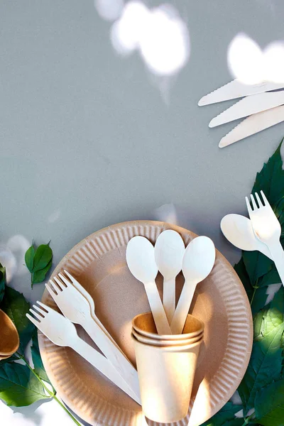 Çevre sanatı kağıdı ve ahşap sofra takımı, yaz güneşi ışığı, sıfır atık, plastiksiz ve çevre dostu yaşam, kağıt bardaklar, tabaklar ve ahşap Cutlergeri dönüşüm veya çevre dostu konsept.