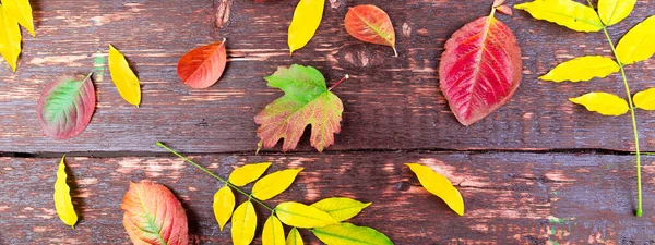 Banner Otoño Hojas Fondo Sobre Mesa Madera Acostado Marco Del —  Fotos de Stock