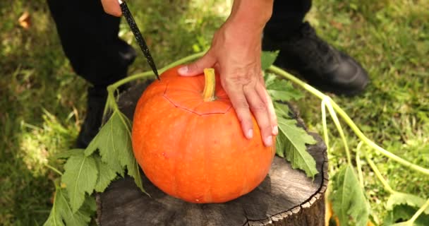 男の手はハロウィンのために彫刻する前にカボチャをカット — ストック動画