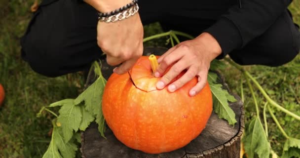 Muž ruce řezané dýně před vyřezávání na Halloween — Stock video