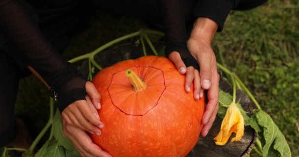 Hija y padre manos cortan calabaza, tapa abierta antes de tallar para Halloween — Vídeo de stock