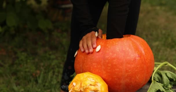 Niña, manos de niño pequeño que saca semillas y material fibroso de una calabaza — Vídeo de stock