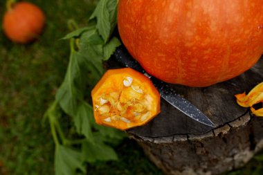 Balkabağı, odunda, bahçesinde, açık havada, bıçağın yanında Cadılar Bayramı için oymadan önce Jack O 'Lantern' i hazırlıyor. Parti için dekorasyon, Üst Görünüm, kapat, Yukarıdan görüntüle, boşluğu kopyala