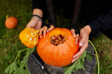 Kız ve baba ellerini açar Cadılar Bayramı için oymadan önce balkabağı keser Jack O 'Lantern' i hazırlar. Parti için dekorasyon, Küçük aile yardımcısı, Üst Manzara, Kapat, Yukarıdan görünüm, Boşluğu kopyala