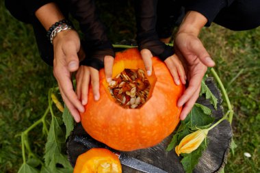 Kız ve baba ellerini açar Cadılar Bayramı için oymadan önce balkabağı keser Jack O 'Lantern' i hazırlar. Parti için dekorasyon, Küçük aile yardımcısı, Üst Manzara, Kapat, Yukarıdan görünüm, Boşluğu kopyala