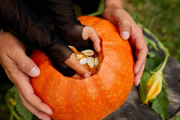 Hija Padre Manos Extrae Semillas Material Fibroso Una Calabaza Antes —  Fotos de Stock