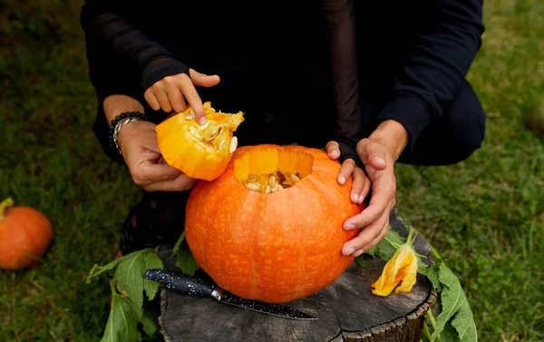 Kız ve baba ellerini açar Cadılar Bayramı için oymadan önce balkabağı keser Jack O 'Lantern' i hazırlar. Parti için dekorasyon, Küçük aile yardımcısı, Üst Manzara, Kapat, Yukarıdan görünüm, Boşluğu kopyala