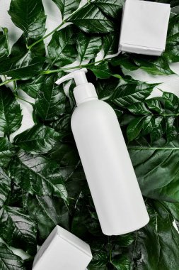 Yeşil tropikal yapraklar, spa konsepti, doğal organik kozmetik ambalaj plastiği, krem kaplama üst görünümü, düz konum kompozisyon reklamı veya afiş şablonu üzerine boş beyaz şişe modeli.